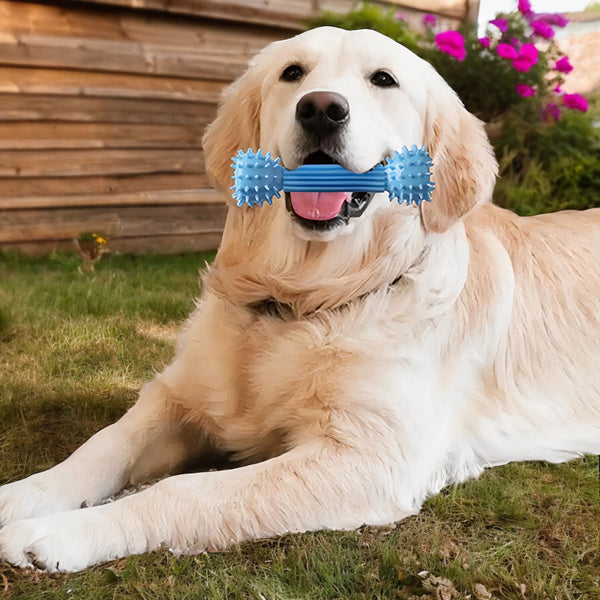 Indestructible Chewie Toy